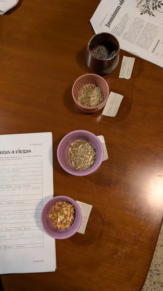 Muestras de plantas y fichas de la cata herbal