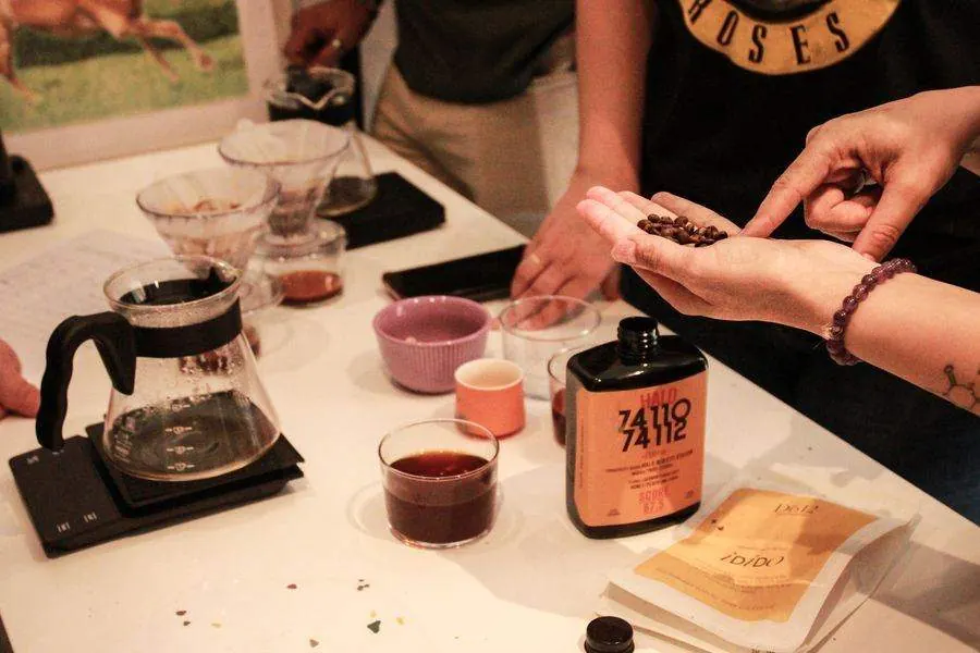Granos de café y preparación de filtrado